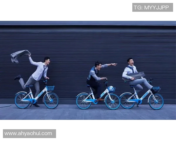 专访杨磊：探寻篮球领域成功背后的秘密与经验分享